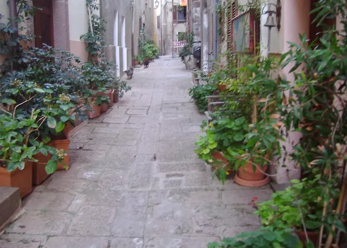 La Rosa Del Mare