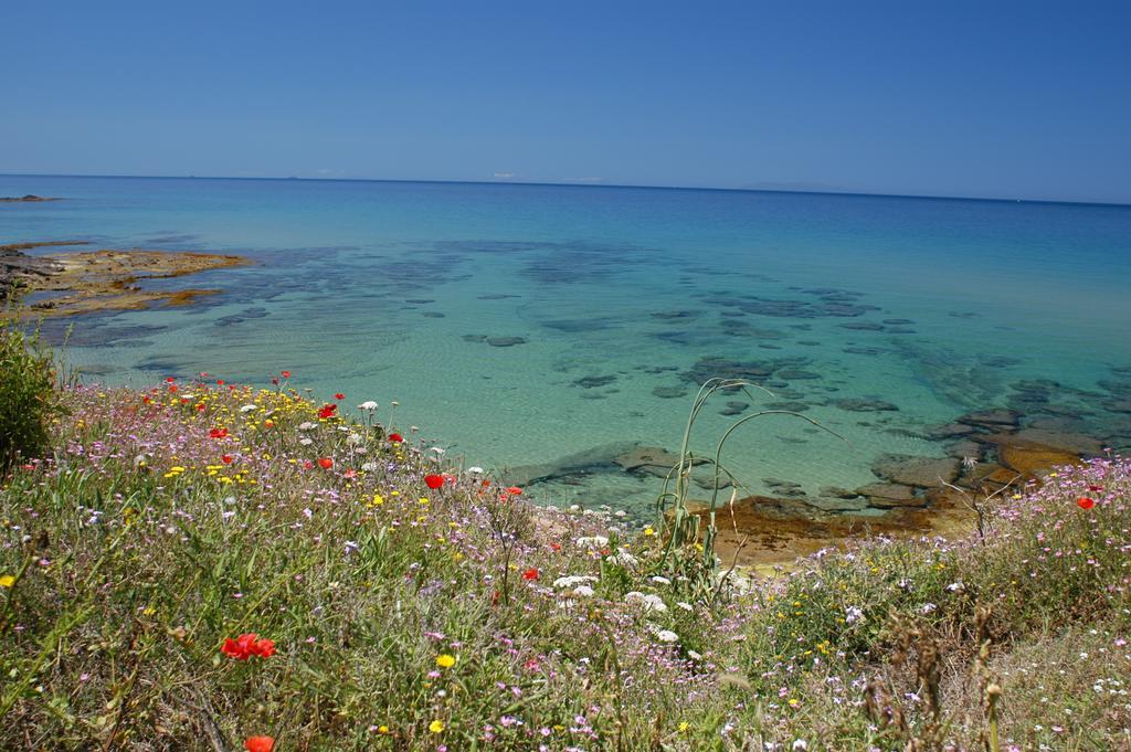 La Rosa Del Mare Apartment Castelsardo