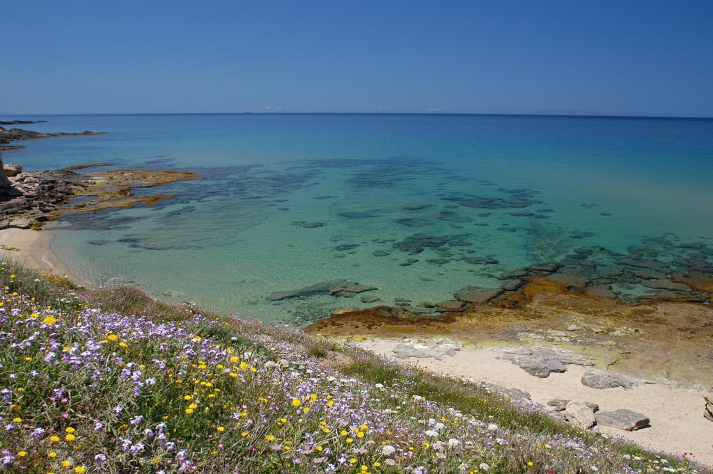 La Rosa Del Mare Castelsardo